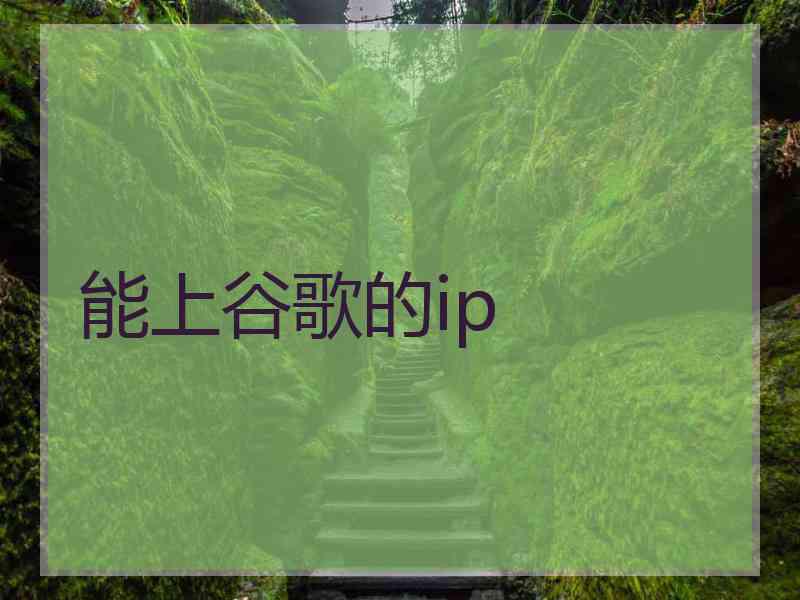 能上谷歌的ip